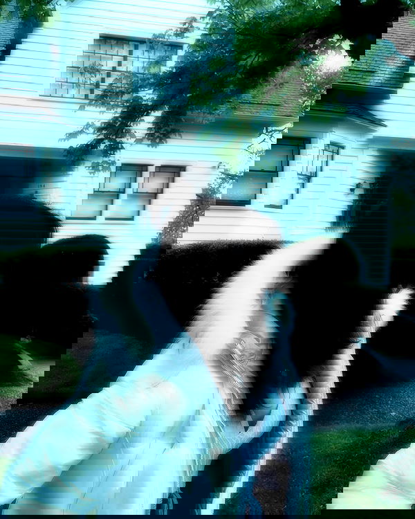 elsgatti image ~ Altpins