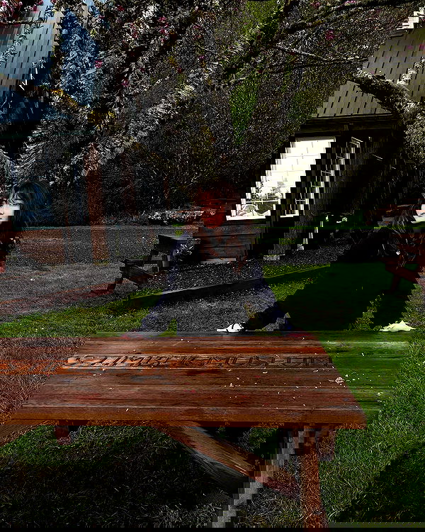 elsgatti image ~ Altpins