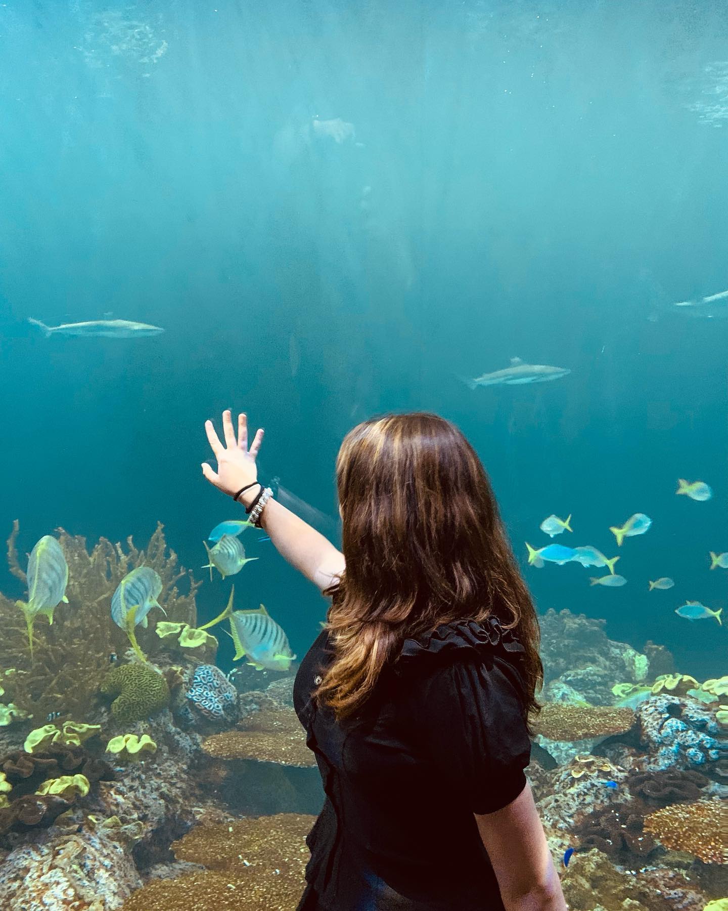 elsgatti instagram image archive image