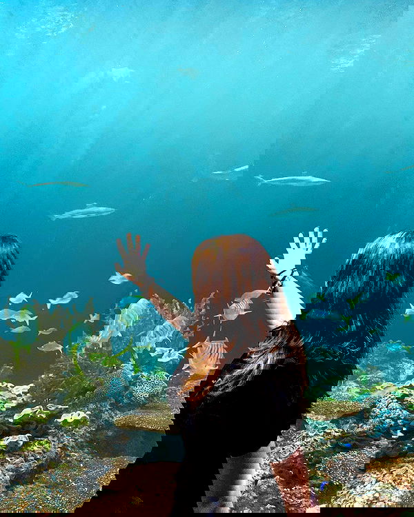 elsgatti image ~ Altpins