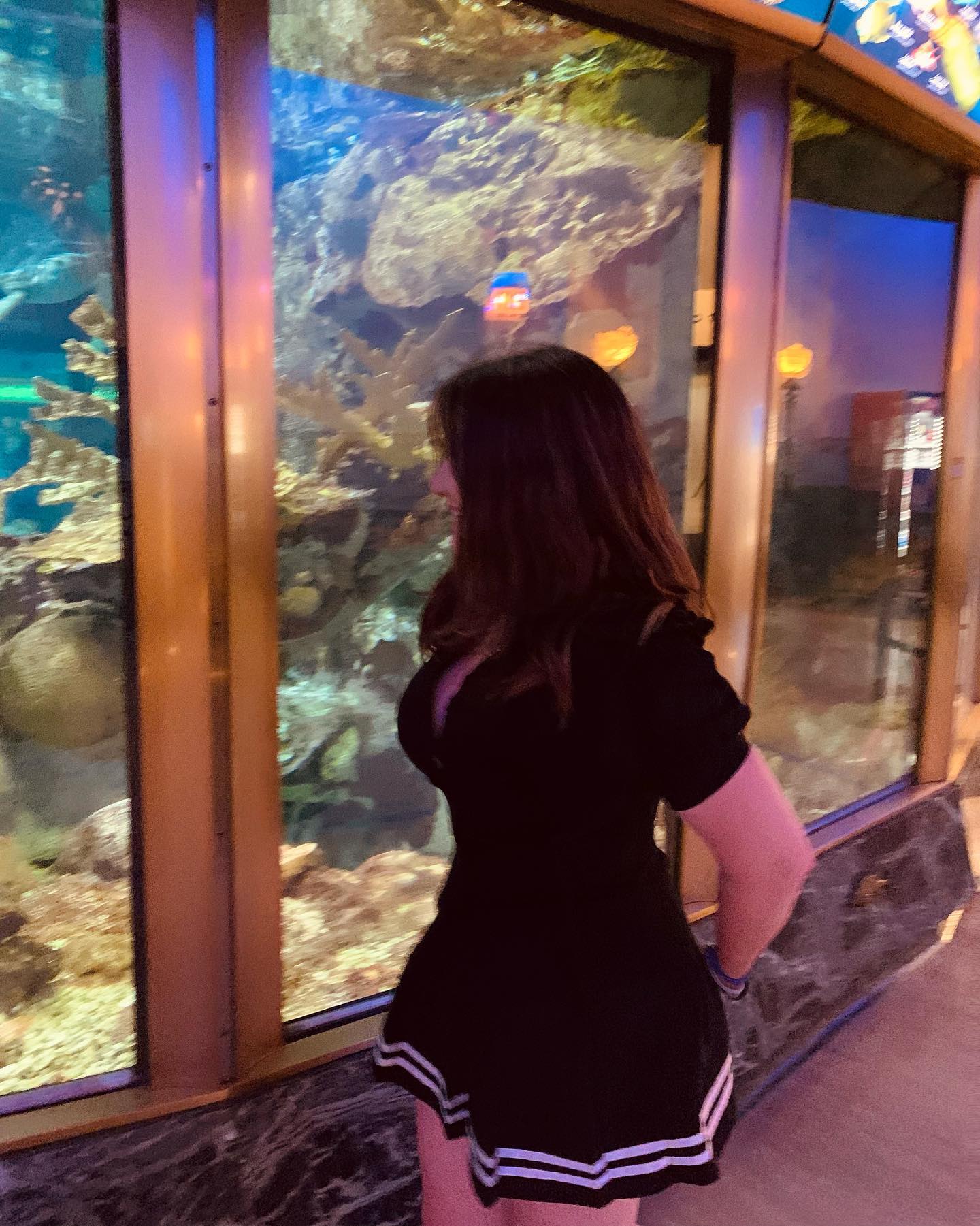 elsgatti instagram image archive image