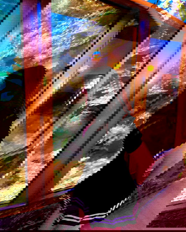 elsgatti image ~ Altpins