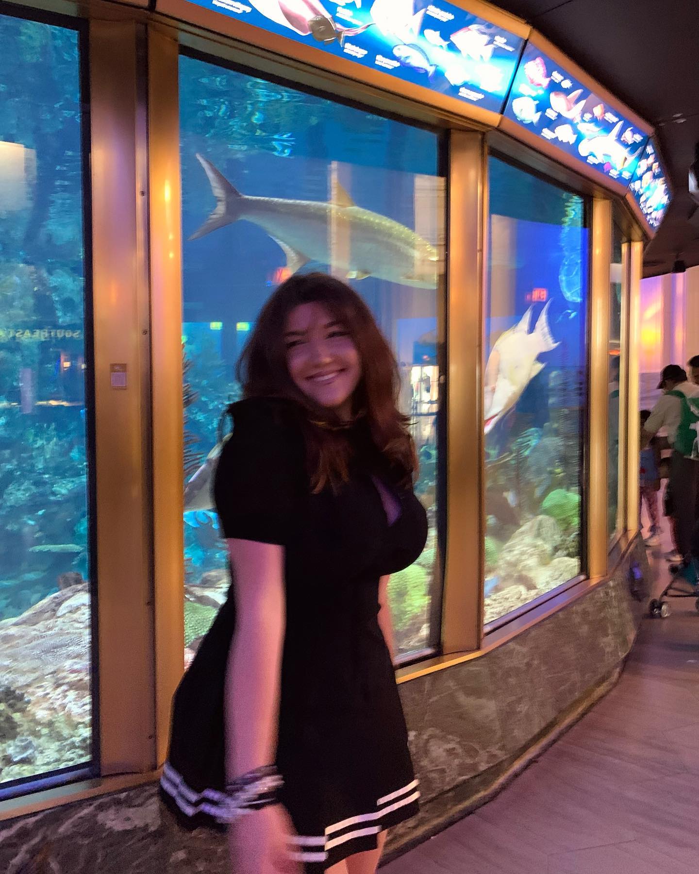 elsgatti instagram image archive image