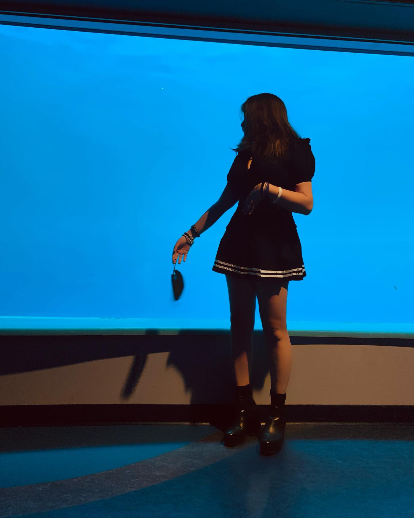 elsgatti instagram image archive image