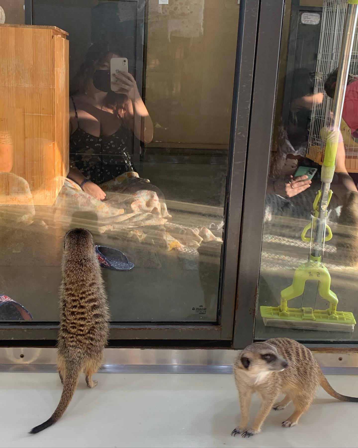 elsgatti instagram image archive image