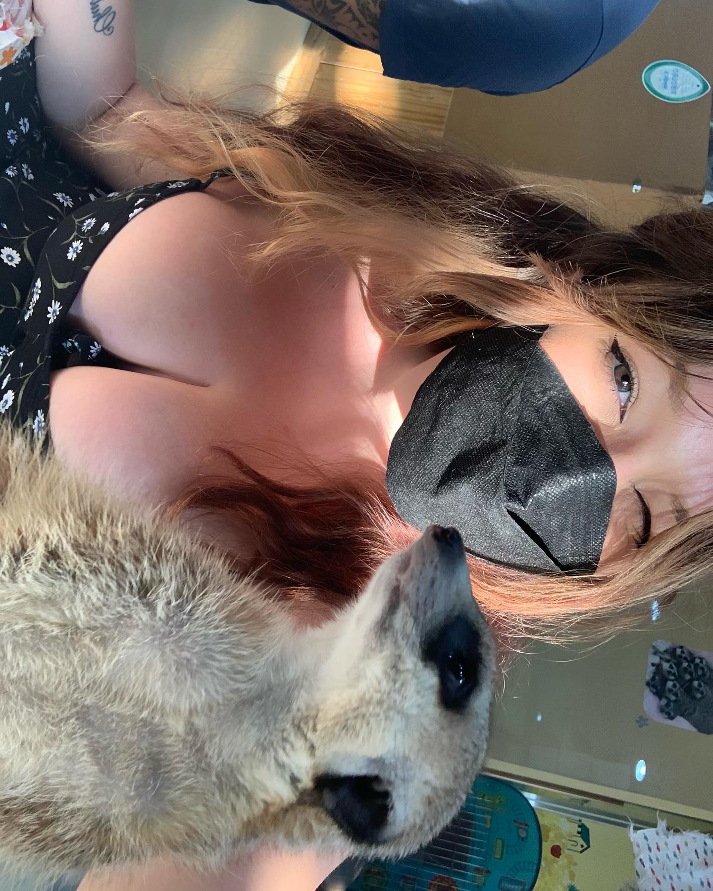 elsgatti instagram image archive image