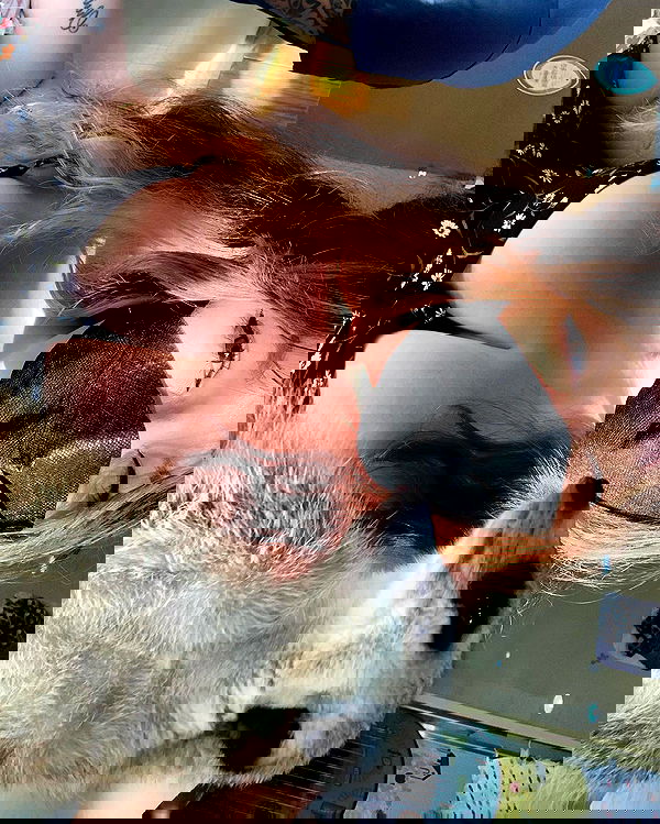 elsgatti image ~ Altpins