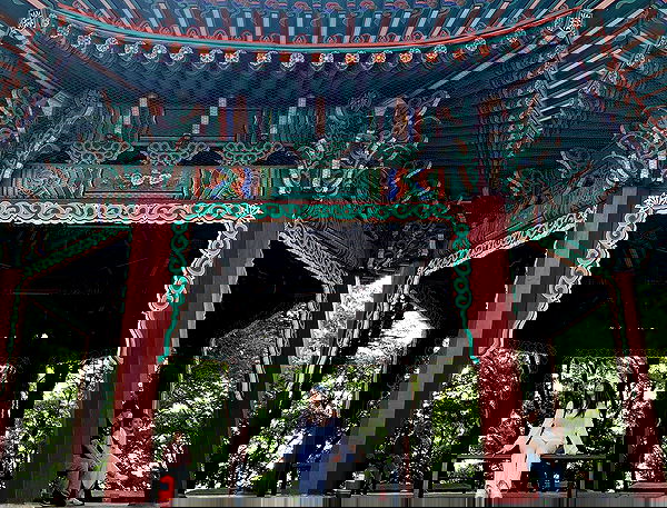 elsgatti image ~ Altpins