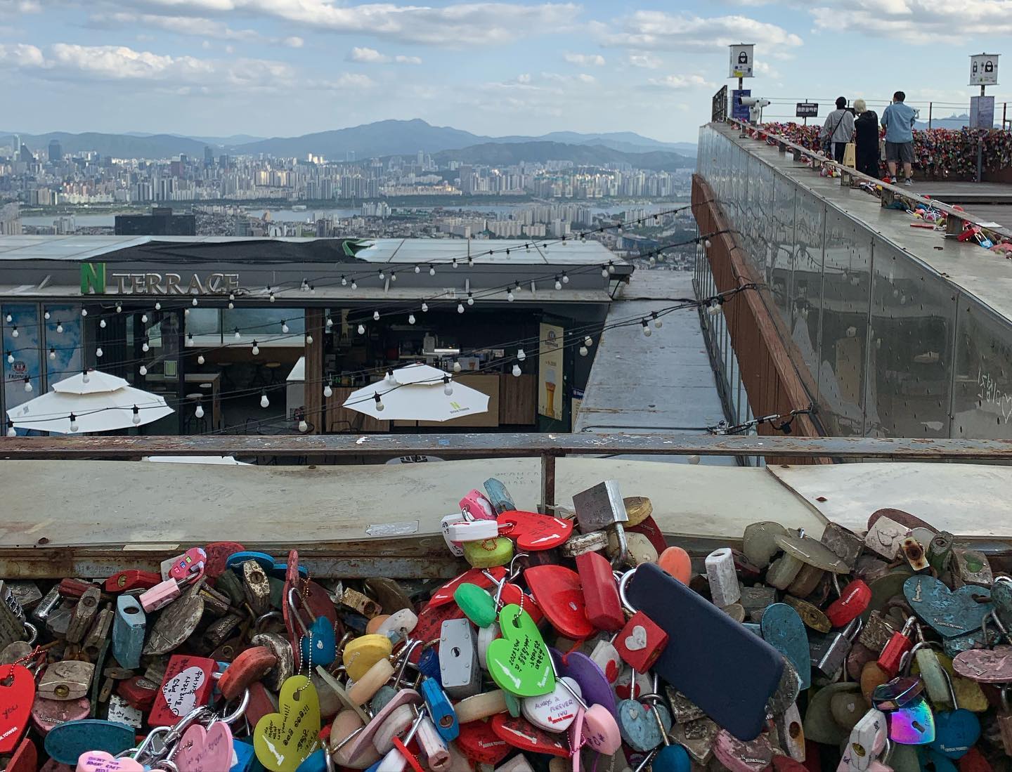 elsgatti instagram image archive image