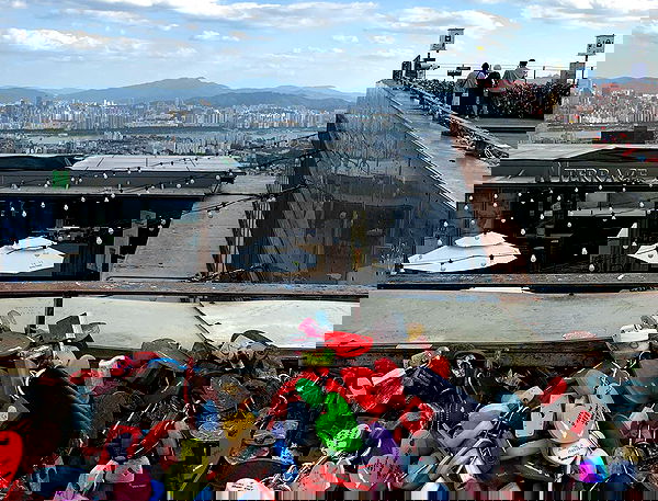 elsgatti image ~ Altpins