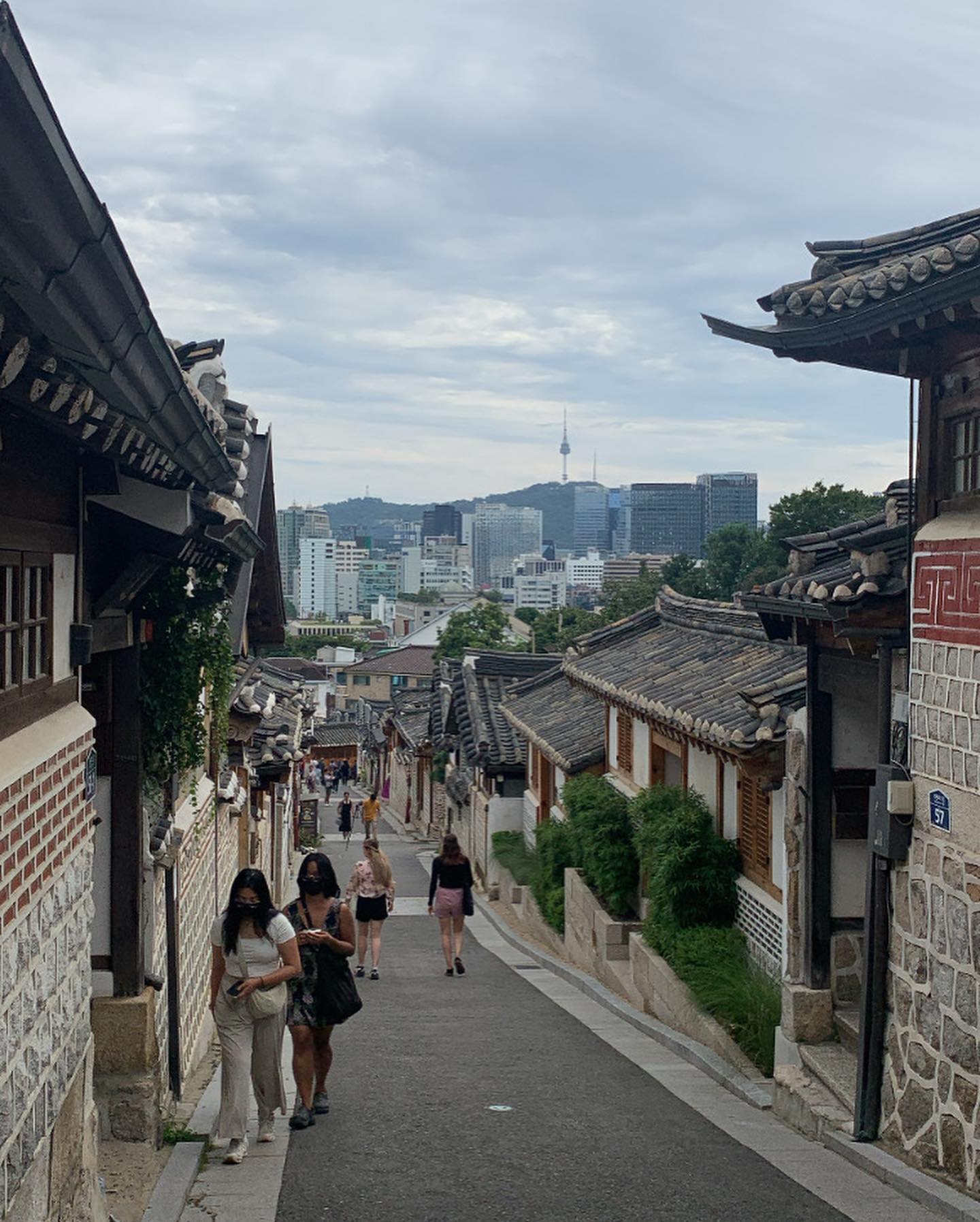 elsgatti instagram image archive image