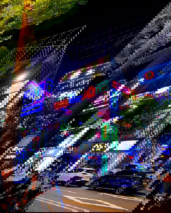 elsgatti image ~ Altpins