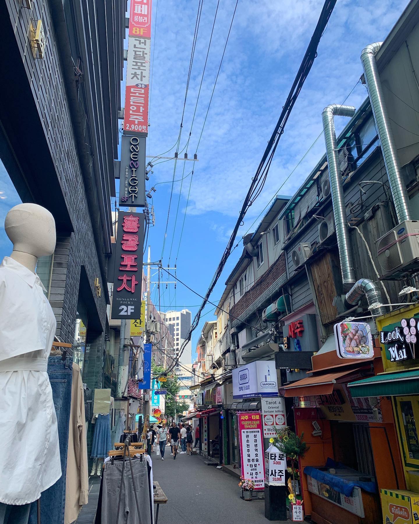 elsgatti instagram image archive image