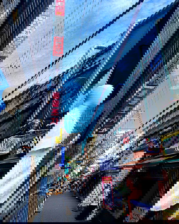 elsgatti image ~ Altpins