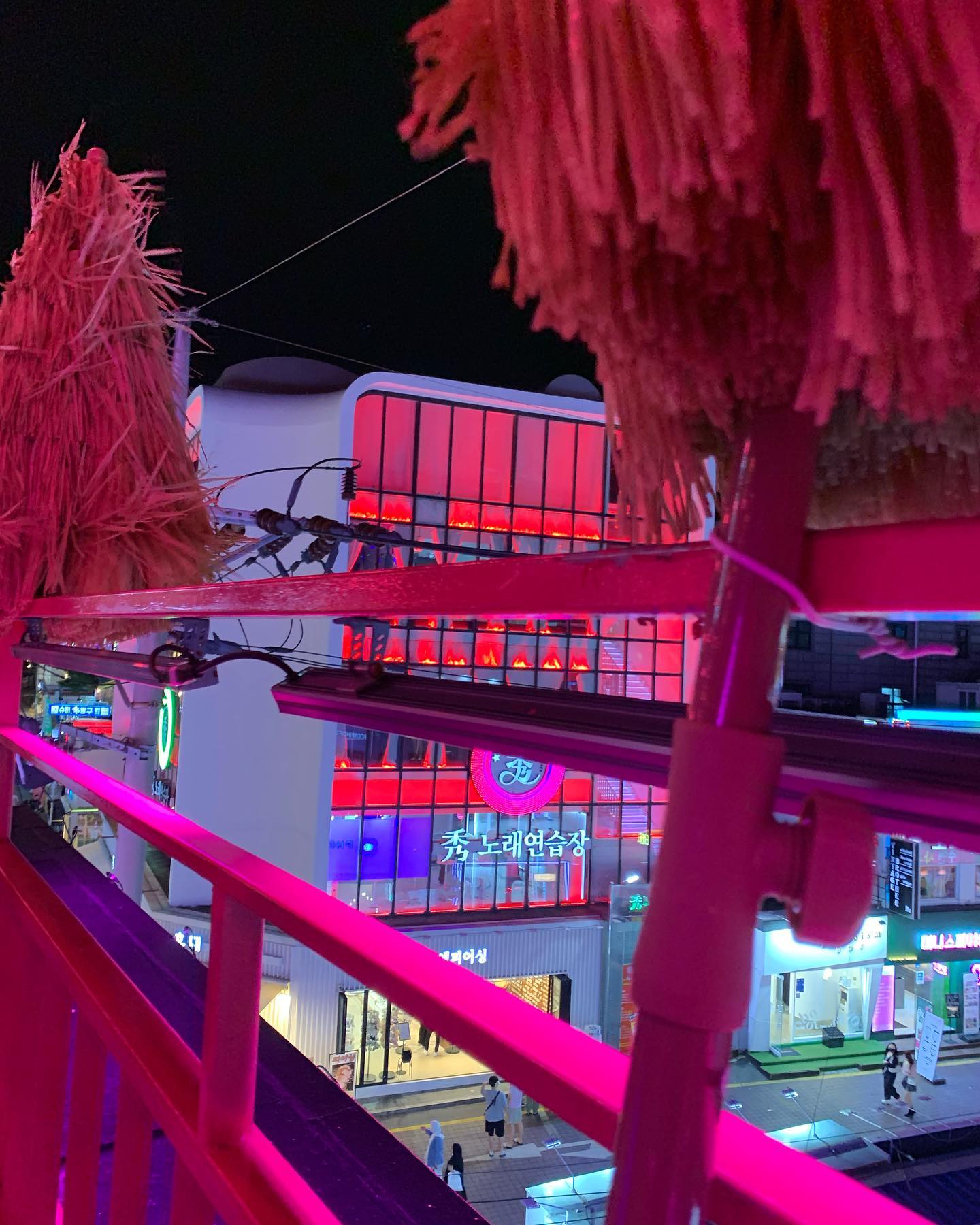 elsgatti instagram image archive image