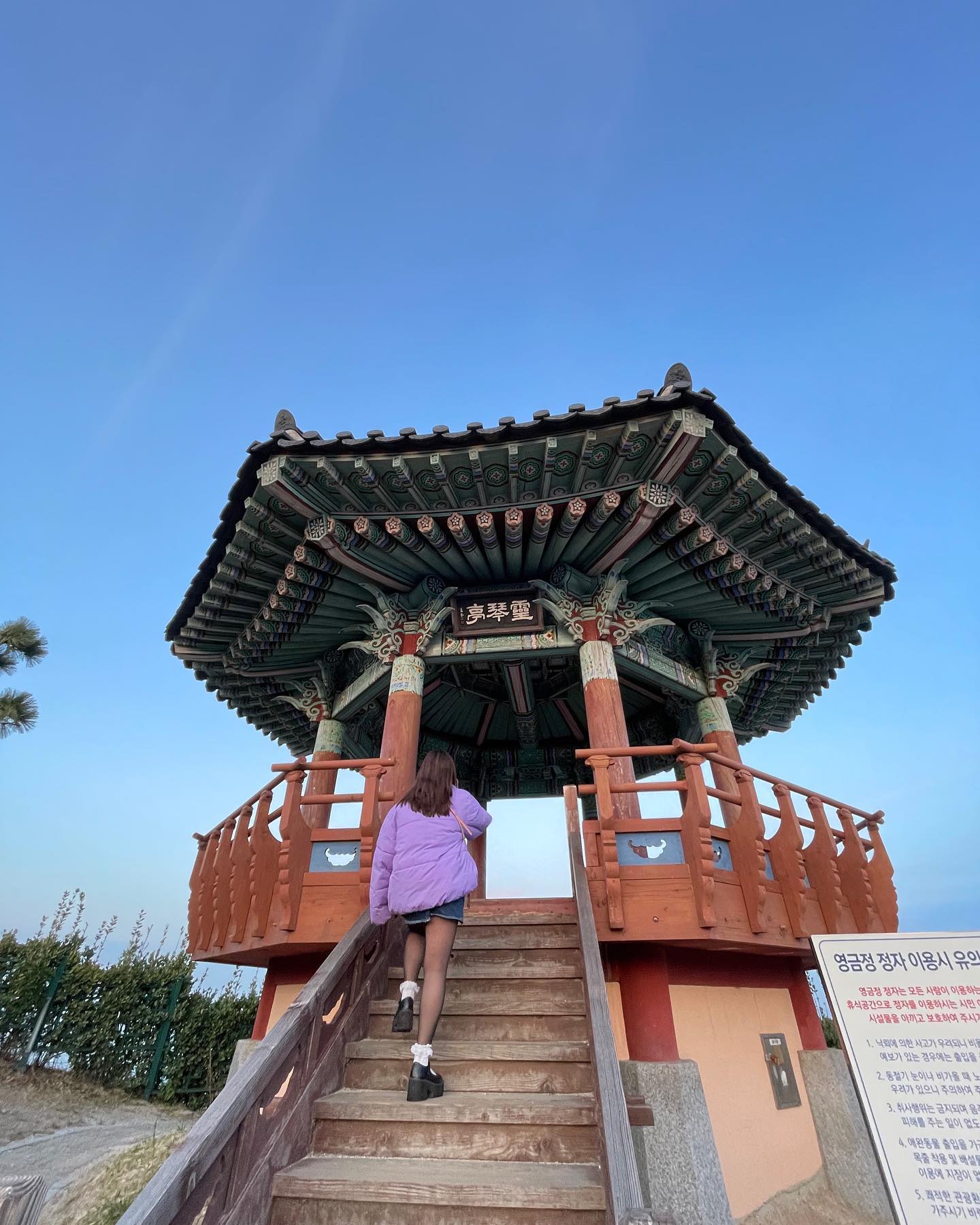 elsgatti instagram image archive image