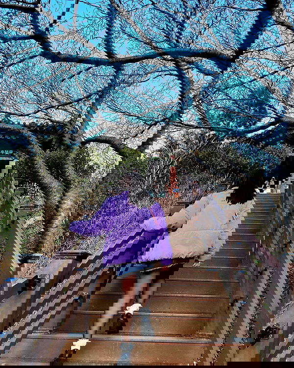 elsgatti image ~ Altpins