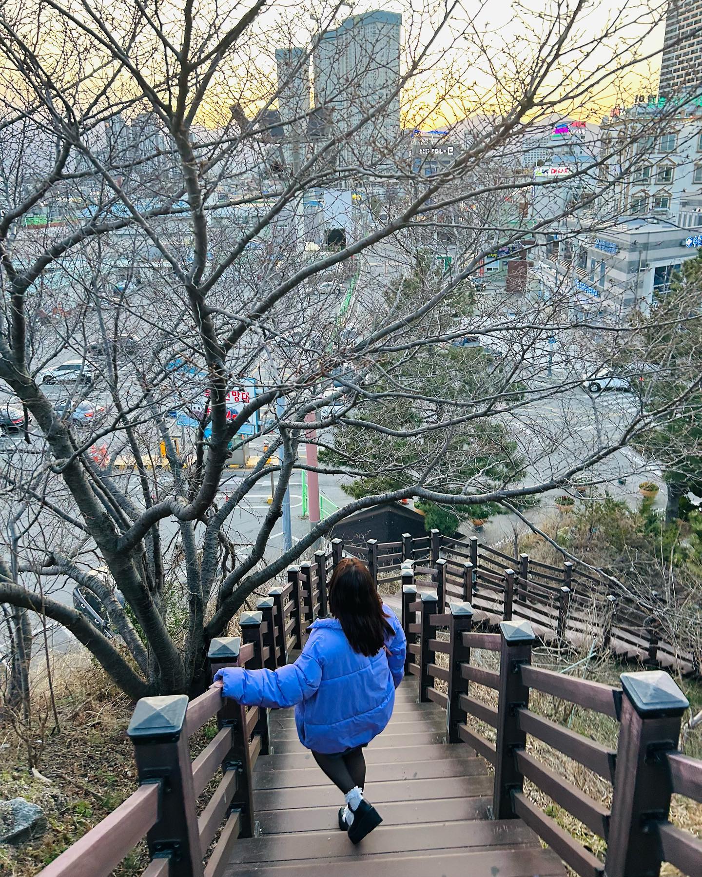 elsgatti instagram image archive image