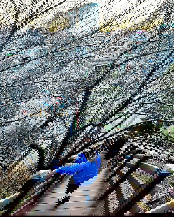 elsgatti image ~ Altpins