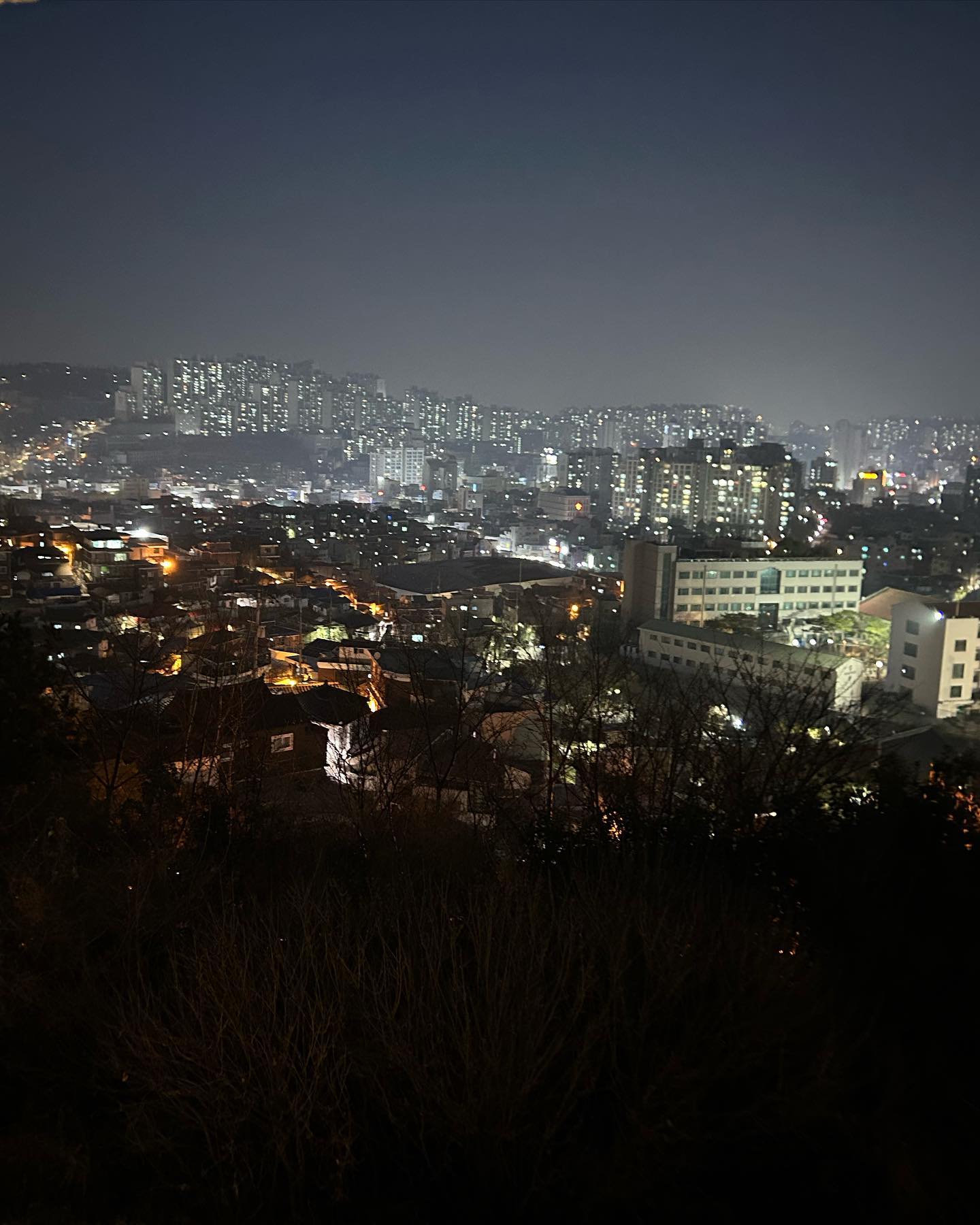 elsgatti instagram image archive image