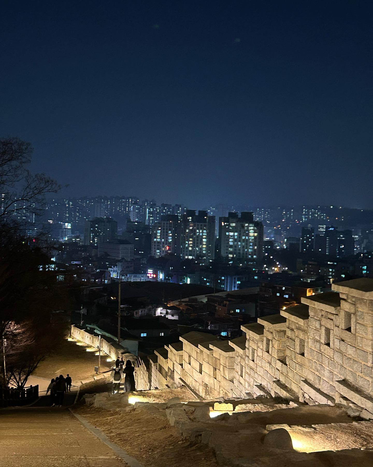 elsgatti instagram image archive image