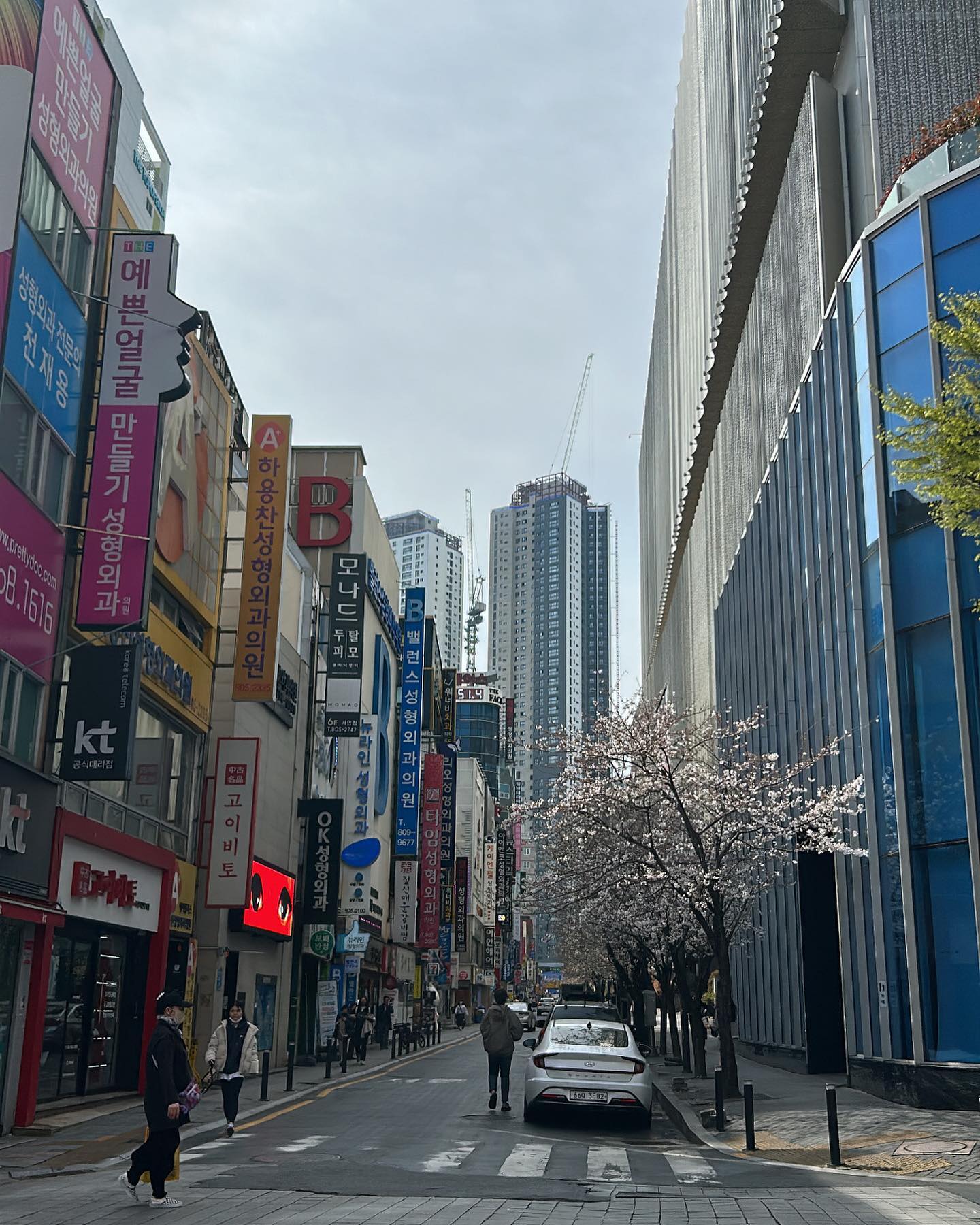 elsgatti instagram image archive image