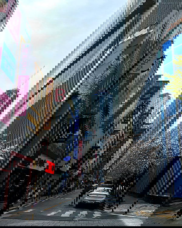 elsgatti image ~ Altpins