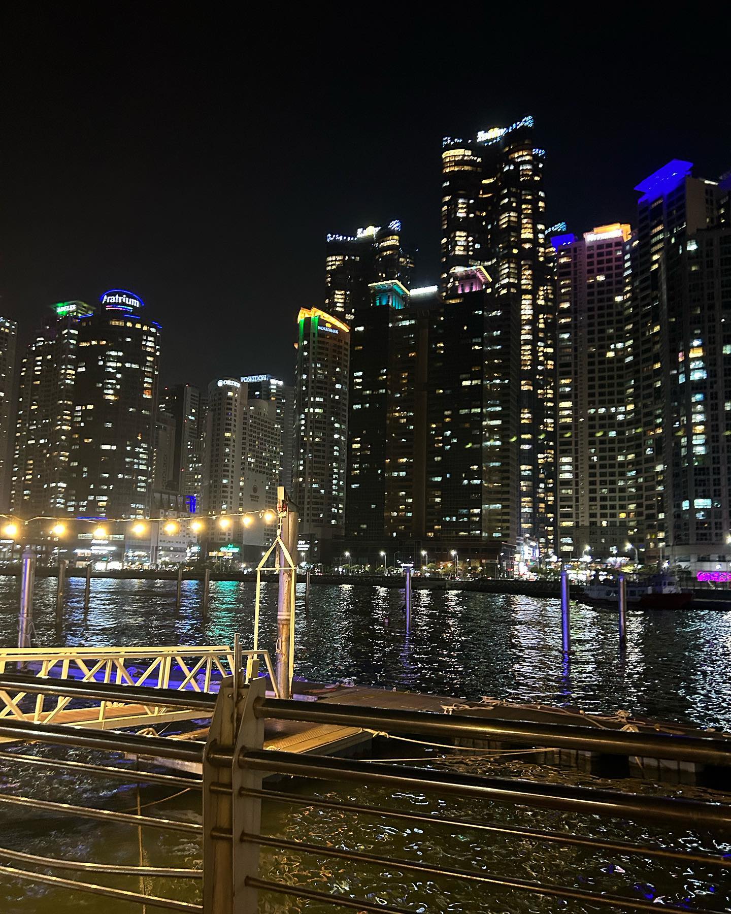 elsgatti instagram image archive image