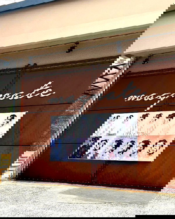 elsgatti image ~ Altpins