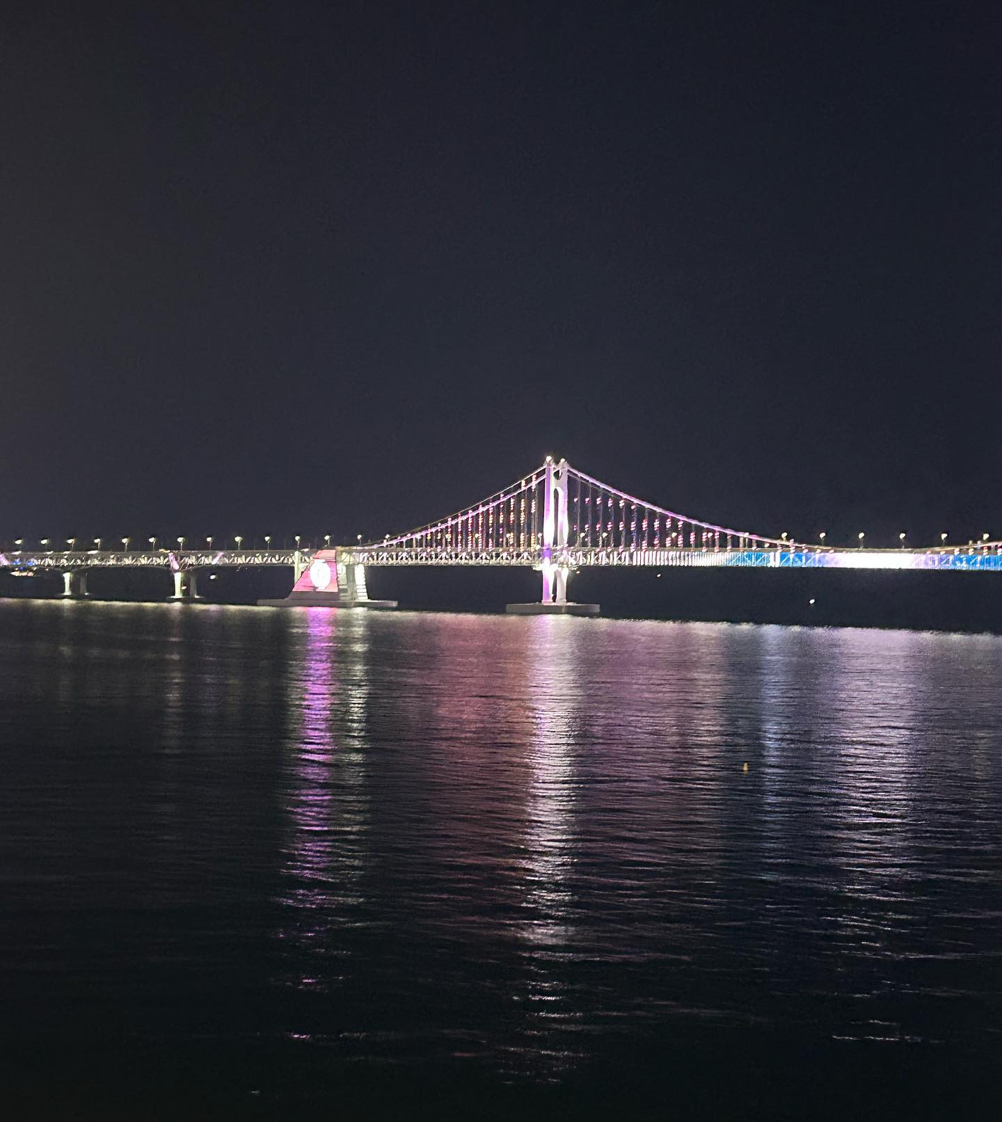 elsgatti instagram image archive image