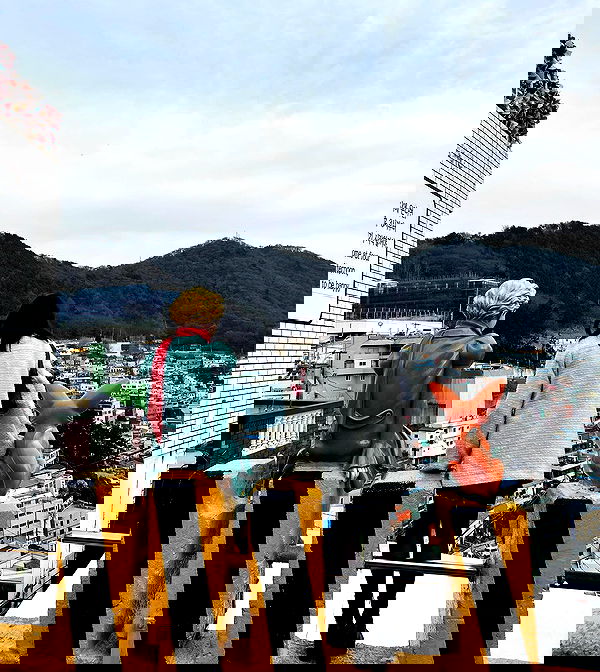 elsgatti image ~ Altpins