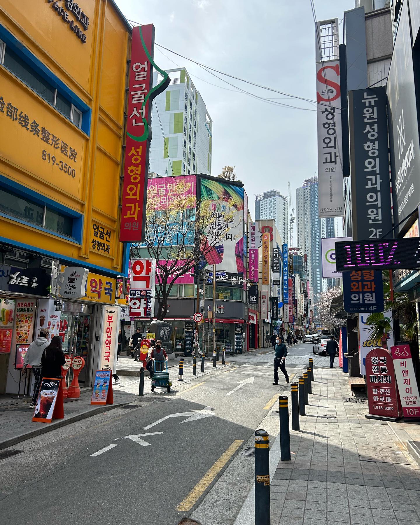 elsgatti instagram image archive image