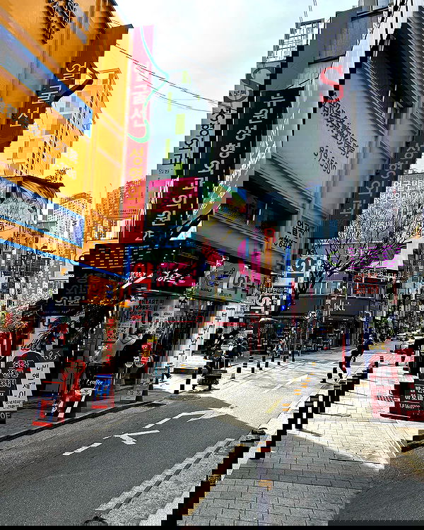 elsgatti image ~ Altpins