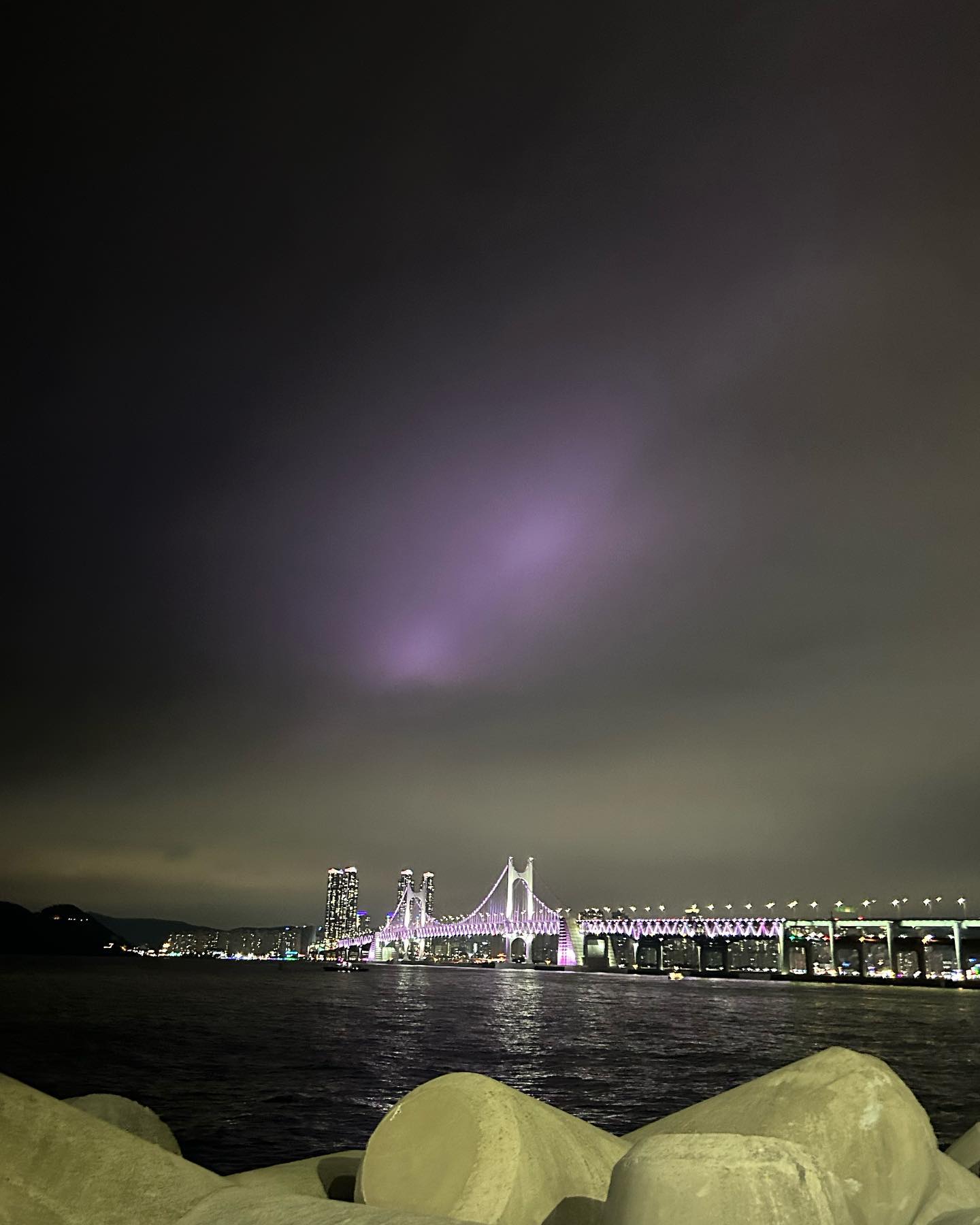 elsgatti instagram image archive image