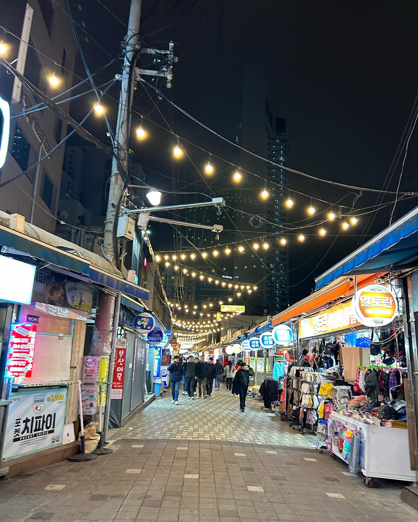 elsgatti instagram image archive image