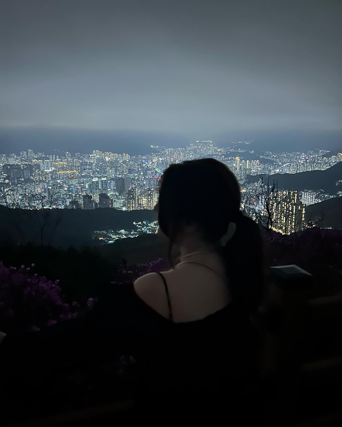 elsgatti instagram image archive image