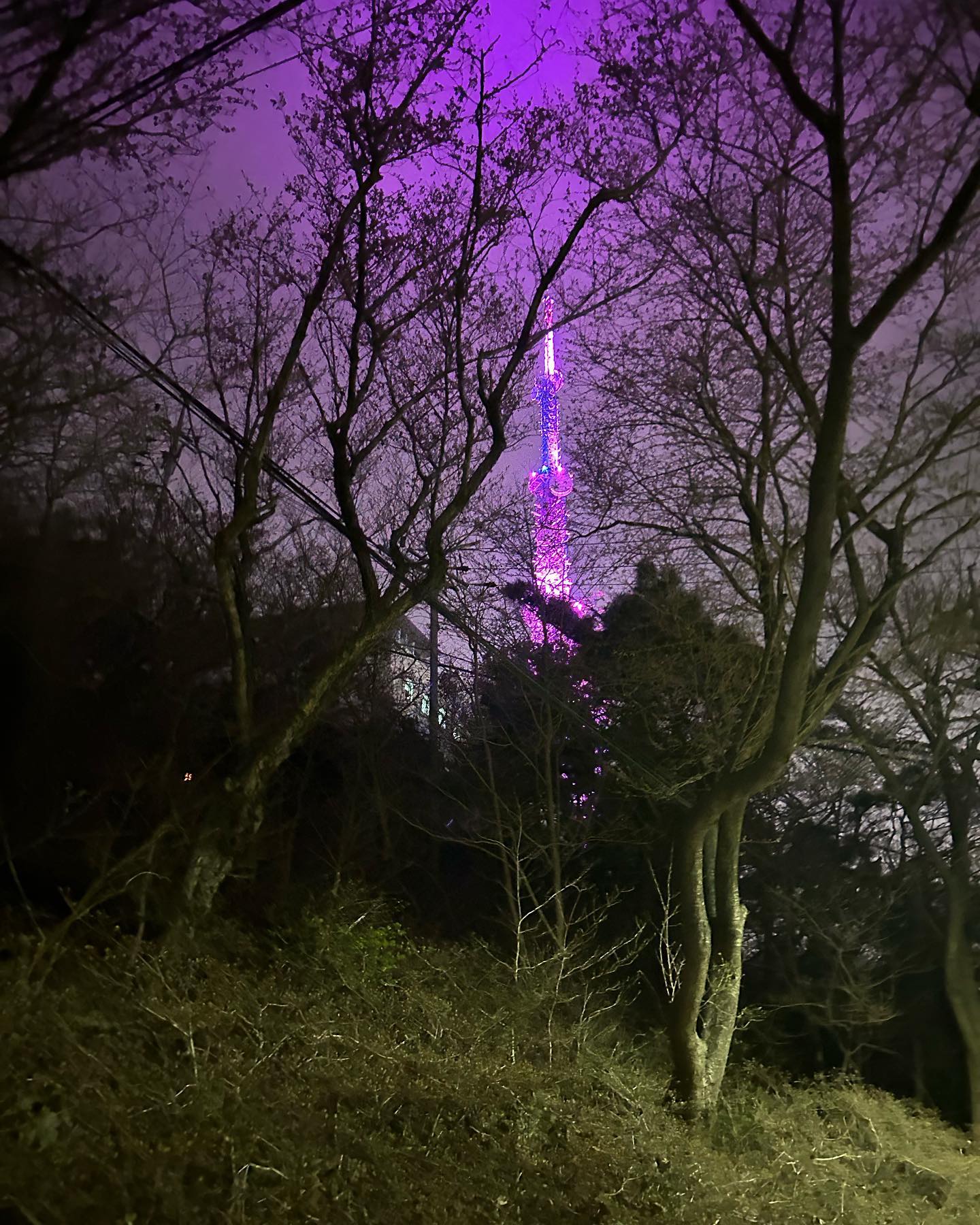 elsgatti instagram image archive image