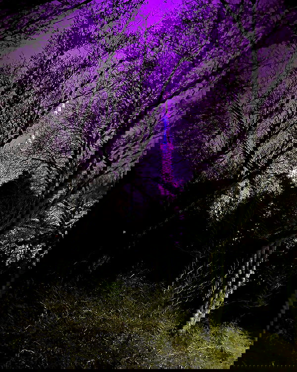 elsgatti image ~ Altpins