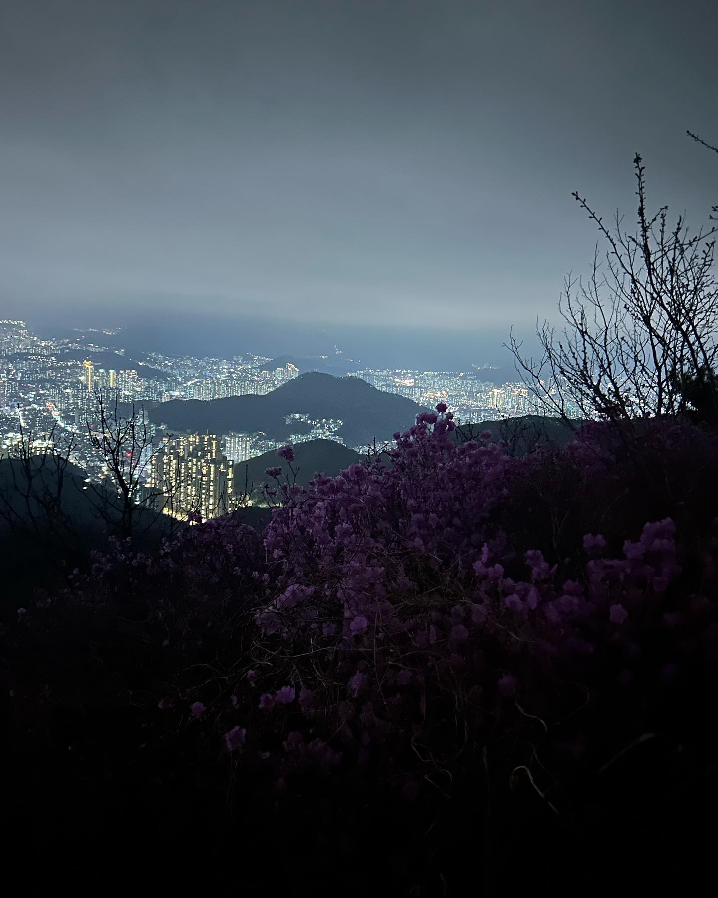 elsgatti instagram image archive image