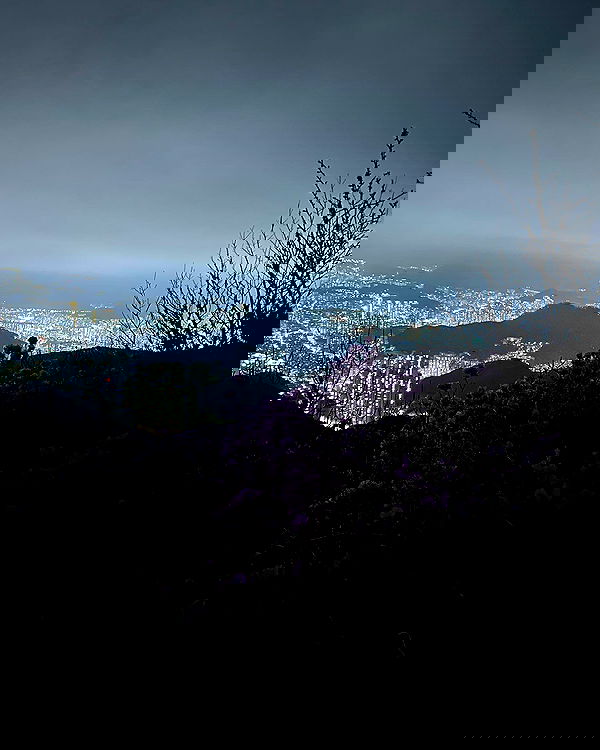 elsgatti image ~ Altpins