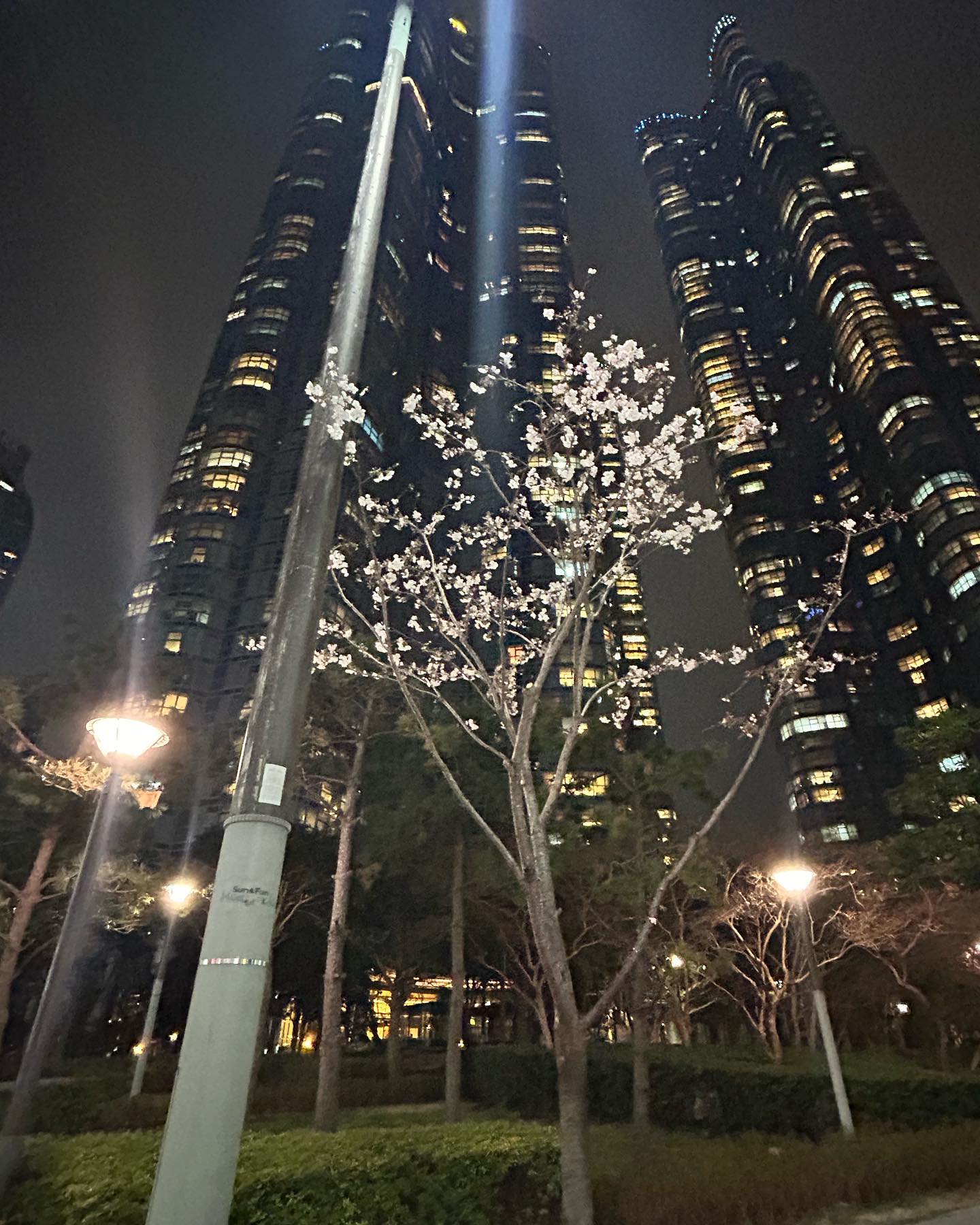 elsgatti instagram image archive image