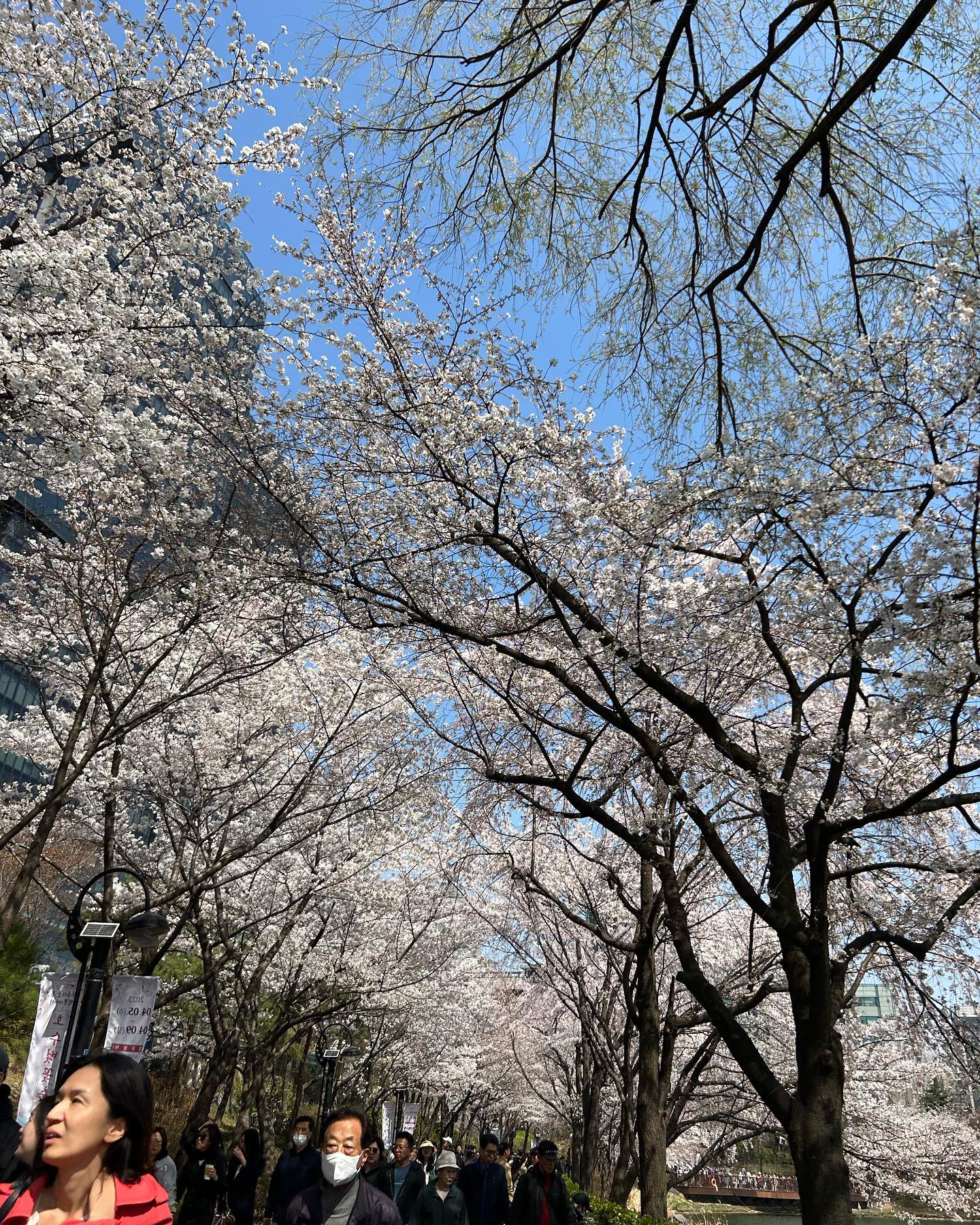 elsgatti instagram image archive image