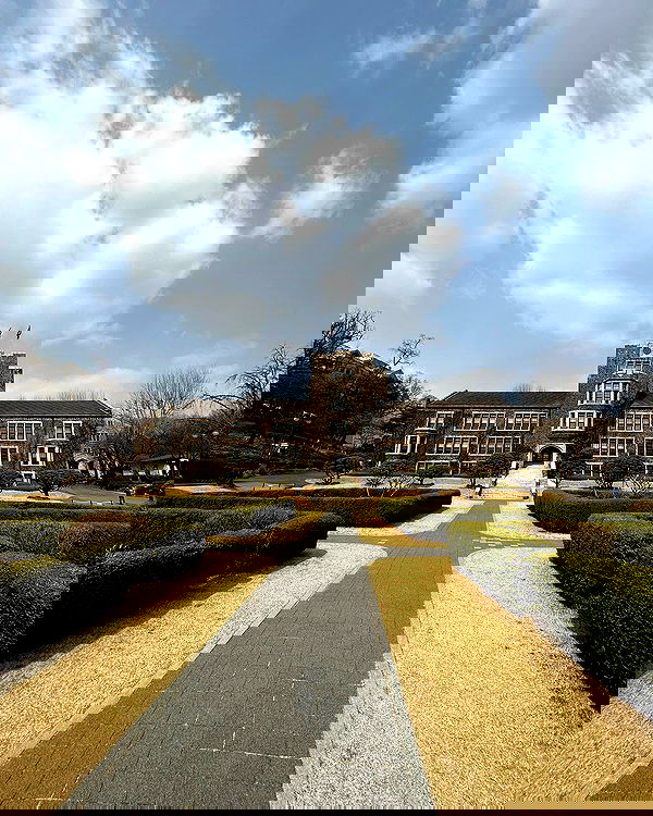 elsgatti image ~ Altpins