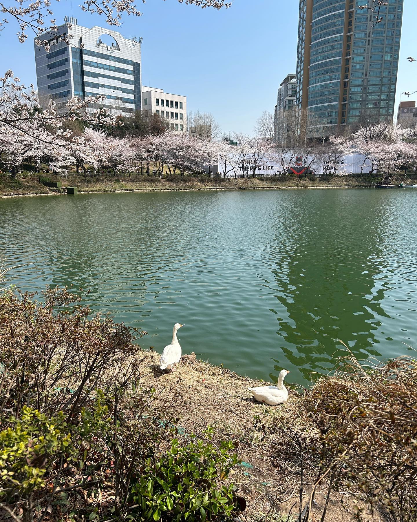 elsgatti instagram image archive image