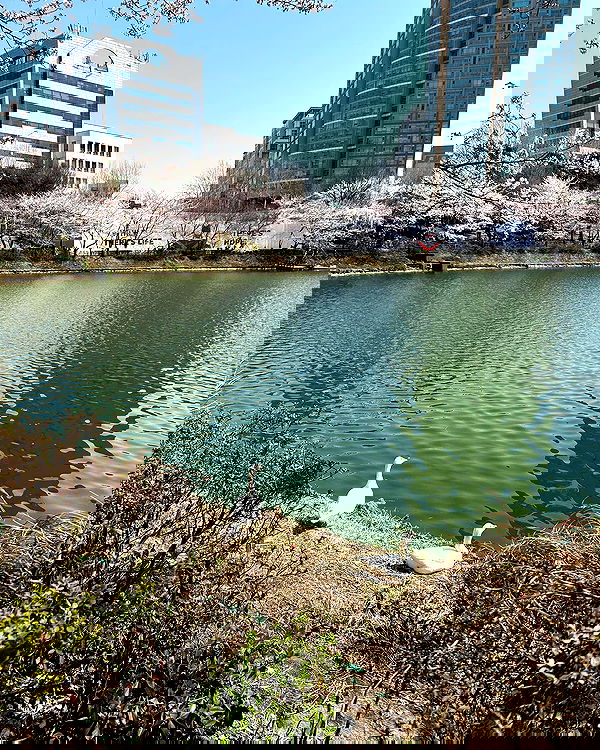 elsgatti image ~ Altpins