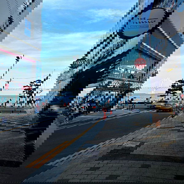 elsgatti image ~ Altpins