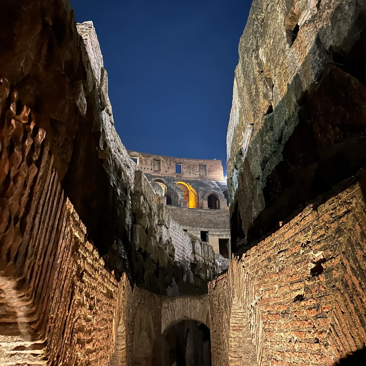 elsgatti instagram image archive image