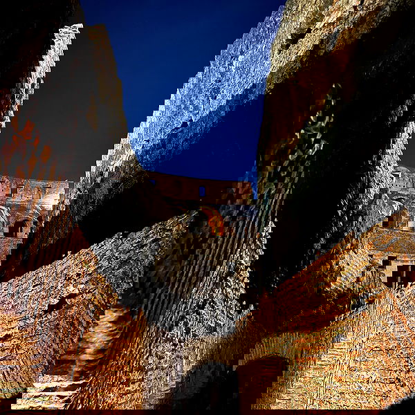 elsgatti image ~ Altpins