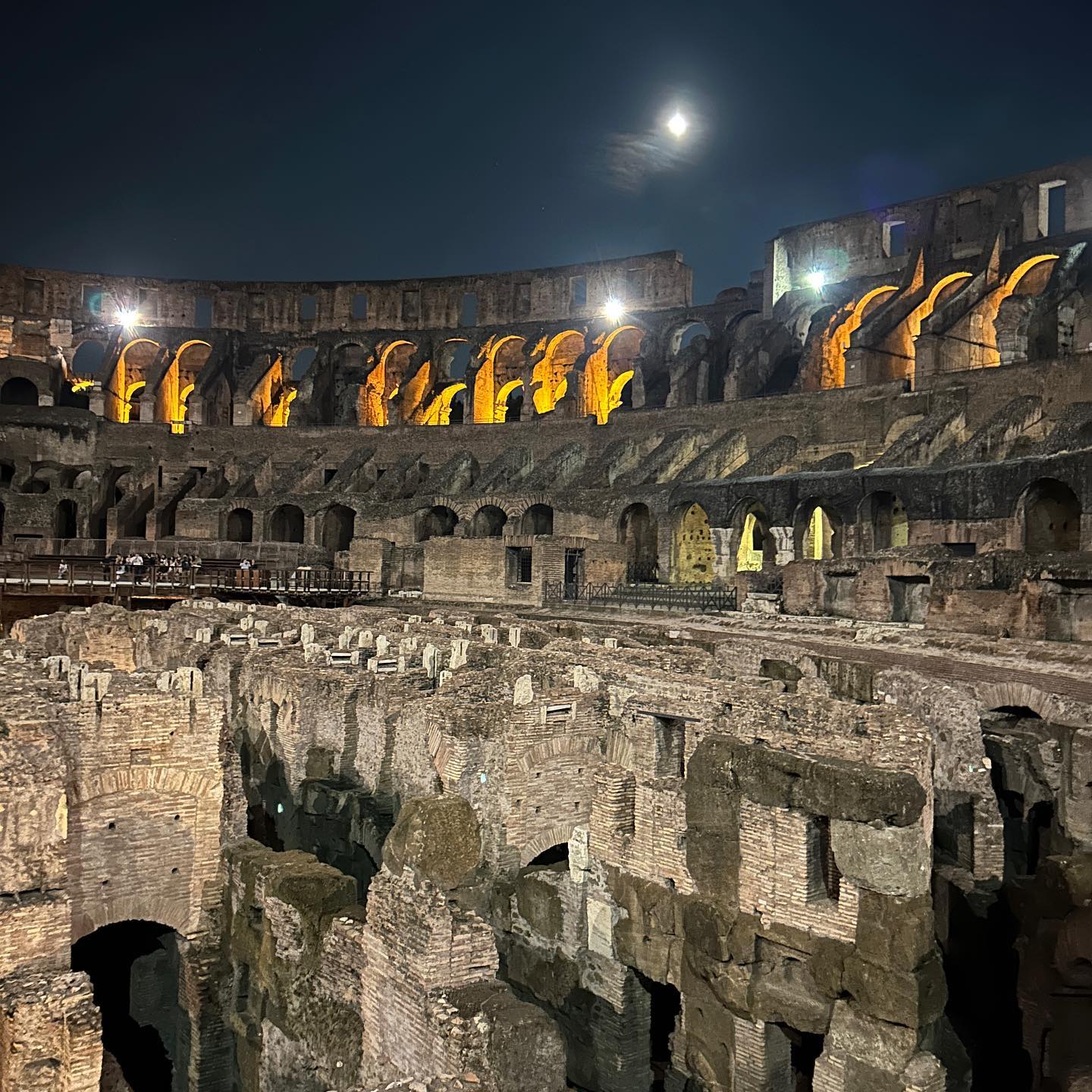 elsgatti instagram image archive image