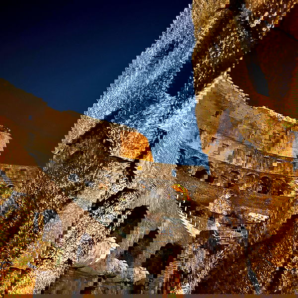 elsgatti image ~ Altpins